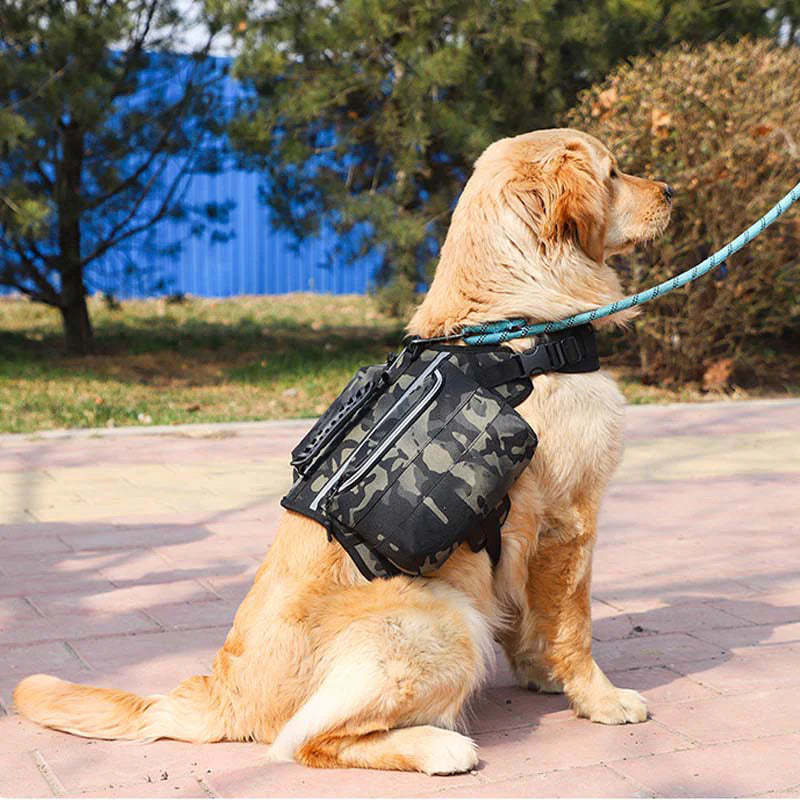 Outdoor Large Dog Backpack For Pets