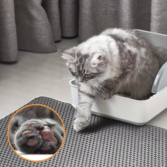 EVA Double Pet Cat Litter Mat