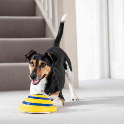 Indoor Sounding Disc Woof Glider Toy