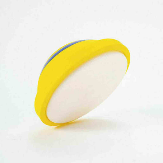 Indoor Sounding Disc Woof Glider Toy