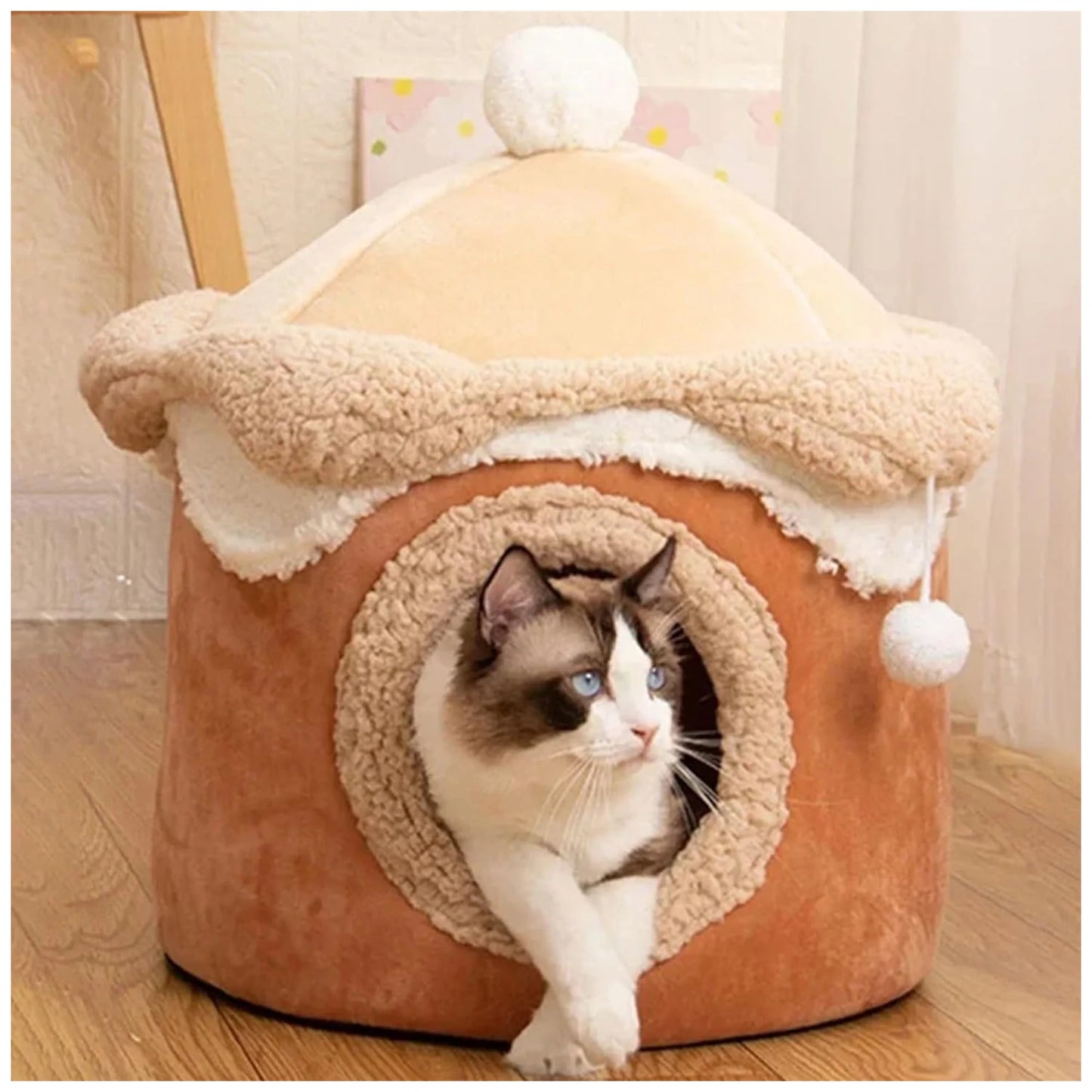 Pet Ice Cream Cute Dog House