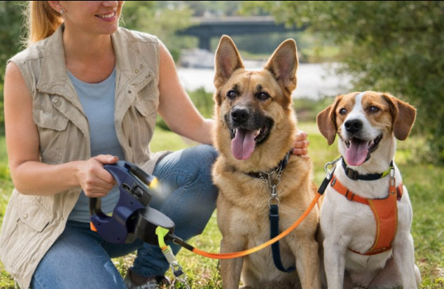 Dual Retractable Dog Leash