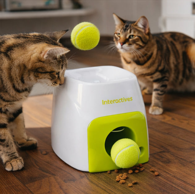 Pet Dog Baseball Food Reward Machine