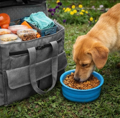 Pet Travel Bag