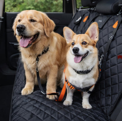 Pet Car Mat