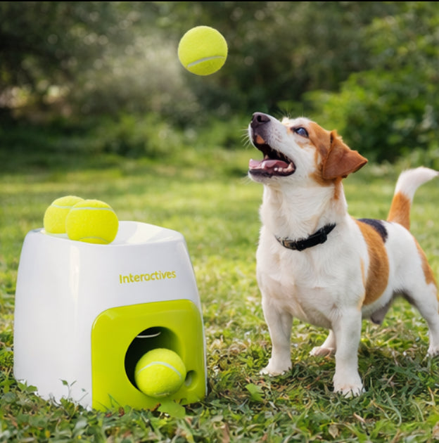 Pet Dog Baseball Food Reward Machine