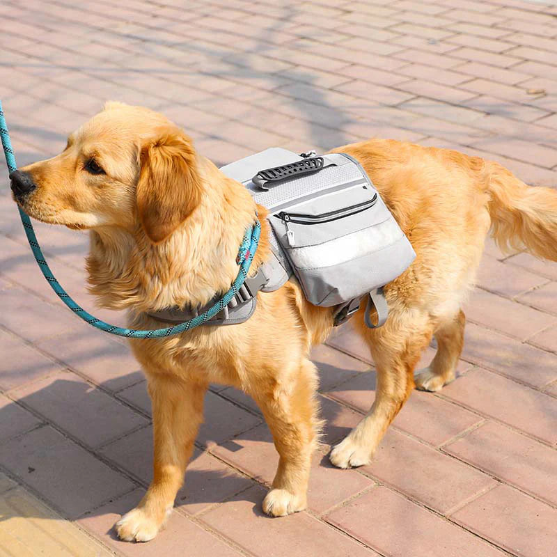 Outdoor Large Dog Backpack For Pets