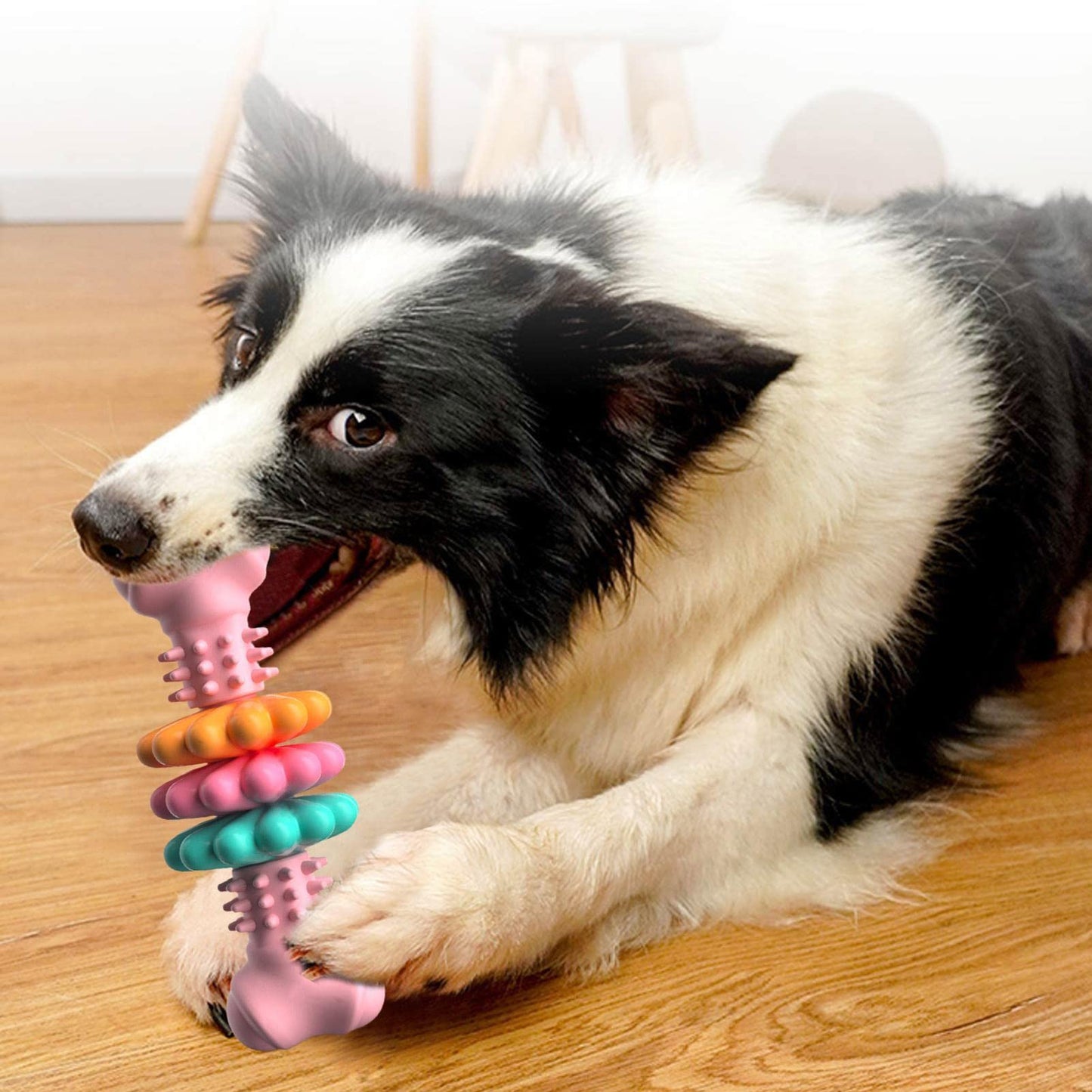 Indestructible TPR Bone Chewing Bite Resistant Toys