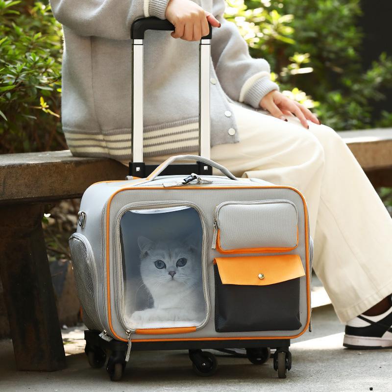 Anti-stress Pet Going Out Trolley Backpack