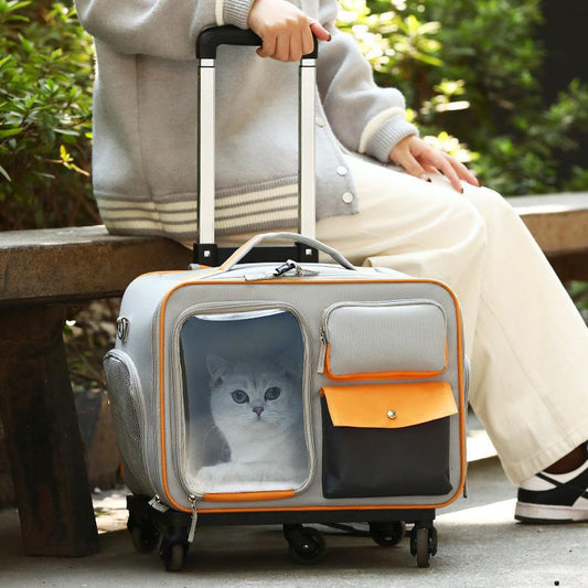 Anti-stress Pet Going Out Trolley Backpack